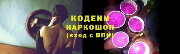 дмт Анива