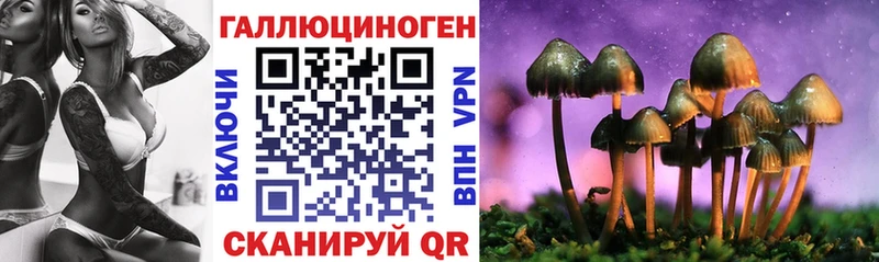 Купить закладки  Кувандык  Псилоцибиновые грибы прущие грибы 